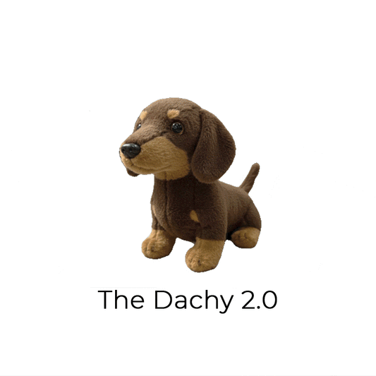 Die Dachy™ 4.0 - Real Feel™ KI-Engine